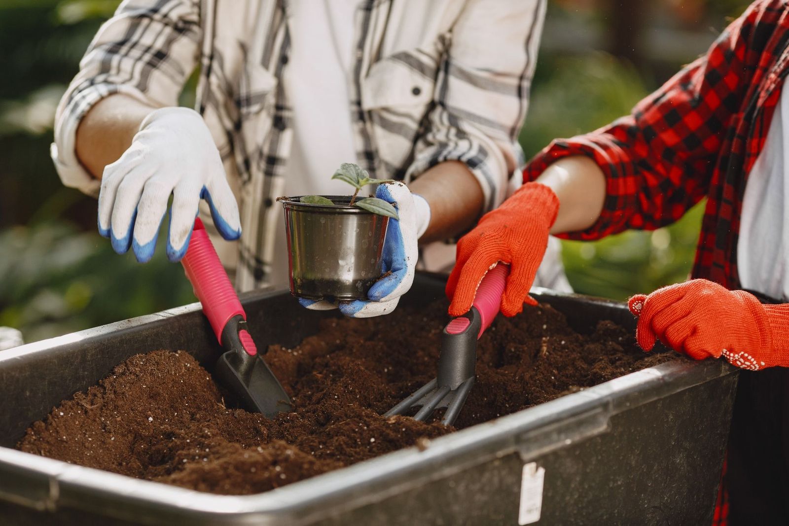 Gartenarbeit mit Kelle und Harke neben einer Topfpflanze